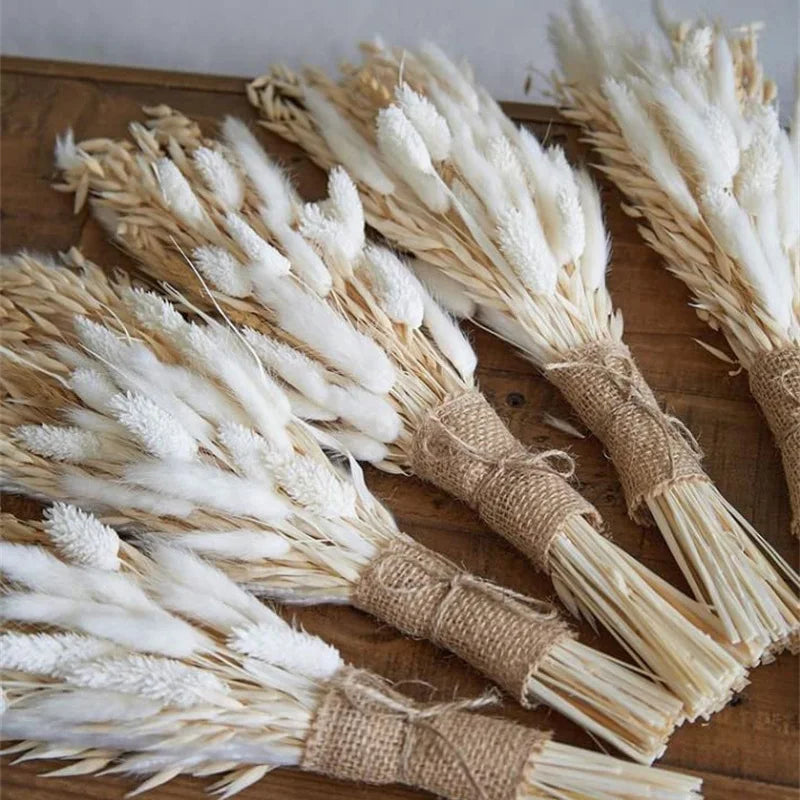 White Pampas Grass Decor - 50 Pcs Farmhouse Wedding & Home Decoration