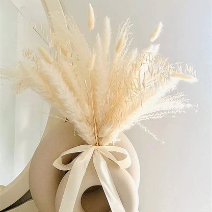 White Pampas Grass Decor - 50 Pcs Farmhouse Wedding & Home Decoration