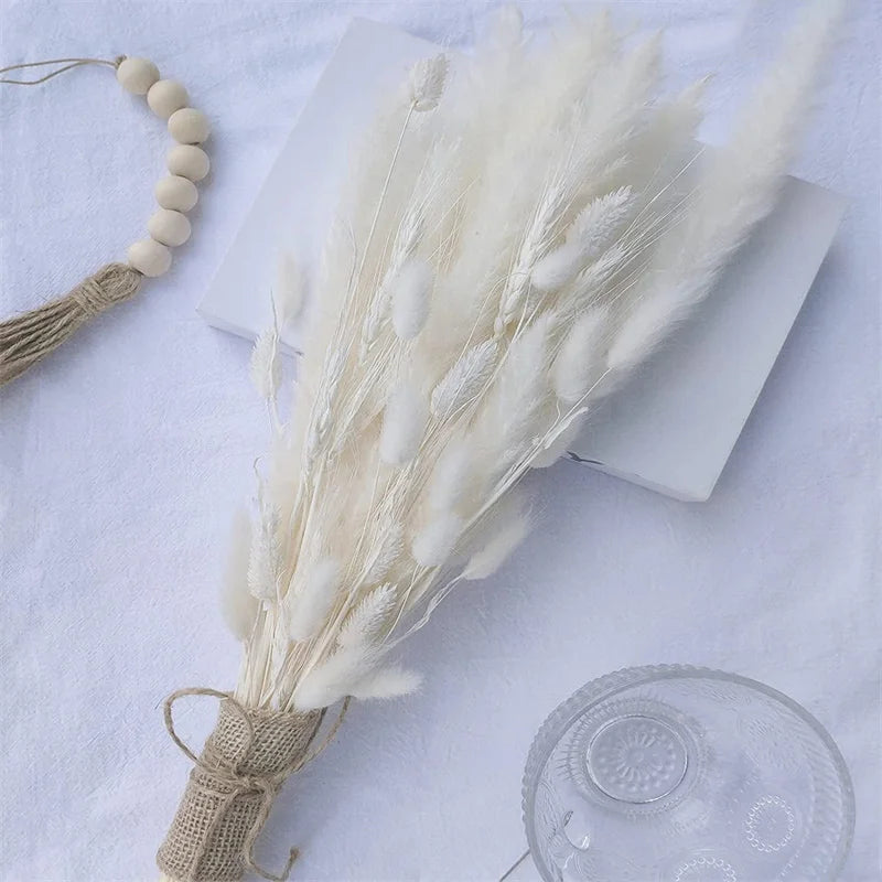 White Pampas Grass Decor - 50 Pcs Farmhouse Wedding & Home Decoration